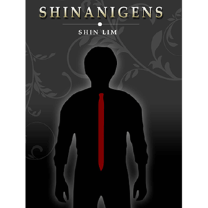 Shinanigens by ShinLim