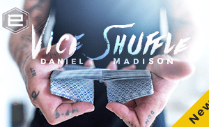 VICE SHUFFLE by Daniel Madison