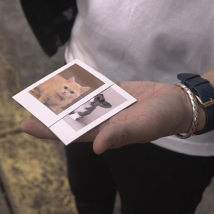 Project Polaroid Add-On Kit (Pet lover Version)